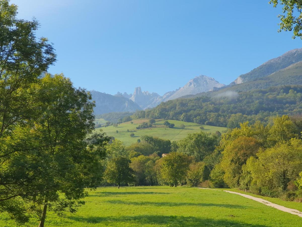 La Estancia De Cangas - Amplio Piso Con Garaje Кангас-де-Онис Экстерьер фото