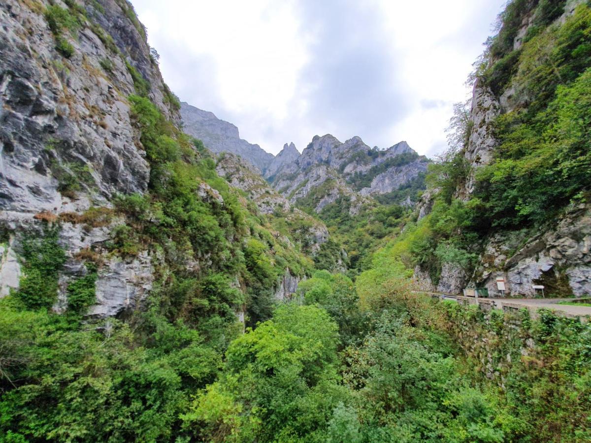 La Estancia De Cangas - Amplio Piso Con Garaje Кангас-де-Онис Экстерьер фото