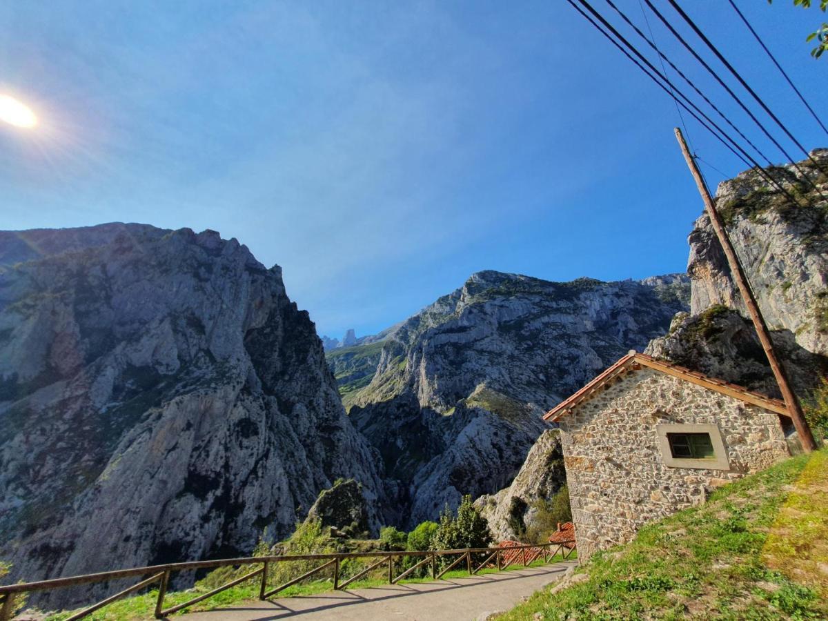 La Estancia De Cangas - Amplio Piso Con Garaje Кангас-де-Онис Экстерьер фото